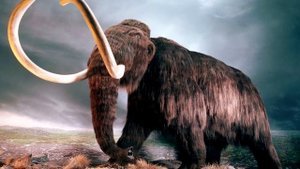 История мамонтов