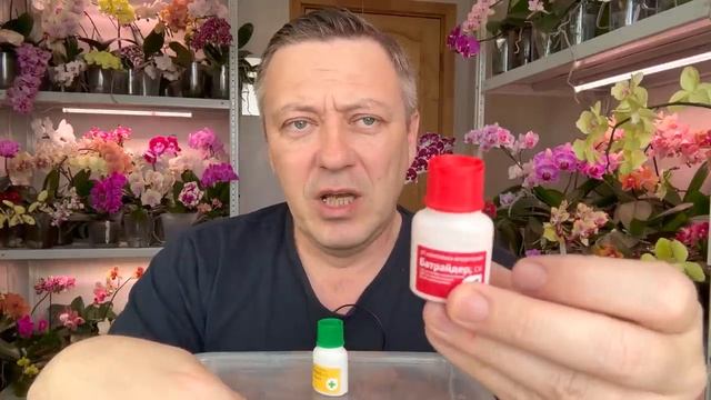 ОРХИДЕИ после ПОКУПКИ - ВАЖНЫЕ действия / двойная обработка орхидей от БОЛЕЗНЕЙ и ВРЕДИТЕЛЕЙ смотреть онлайн