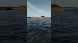 Прогулка по реке Северная Двина. Лодка Воронеж Вихрь 30 с Микропроцессорным зажиганием.