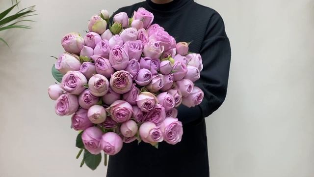 Кустовая пионовидная роза Лавендер Лэйс смотреть онлайн