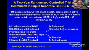 Management of Lupus Nephritis, where do we stand