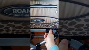 Коляска Роан Кортина