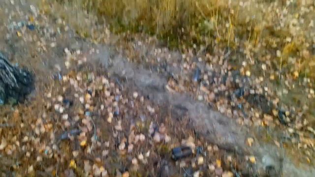 Поиск старой делянки. Копаем с МД-4030 и ТХ-850 смотреть онлайн