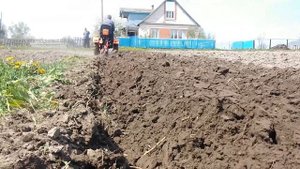 Посадка минитрактором кентавр Т-15 Жлобин 2017 часть 3
