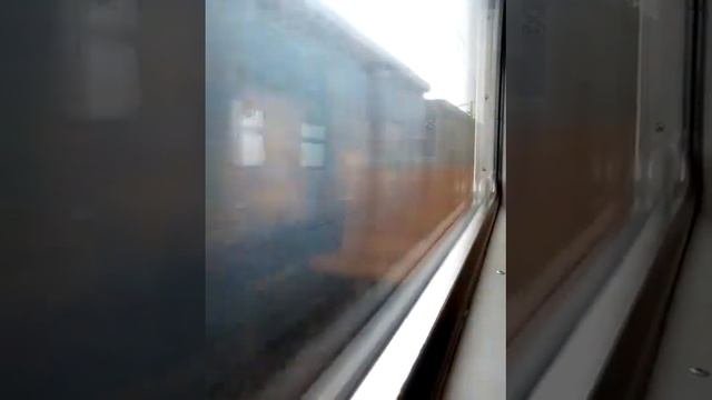 Станция Коновалово