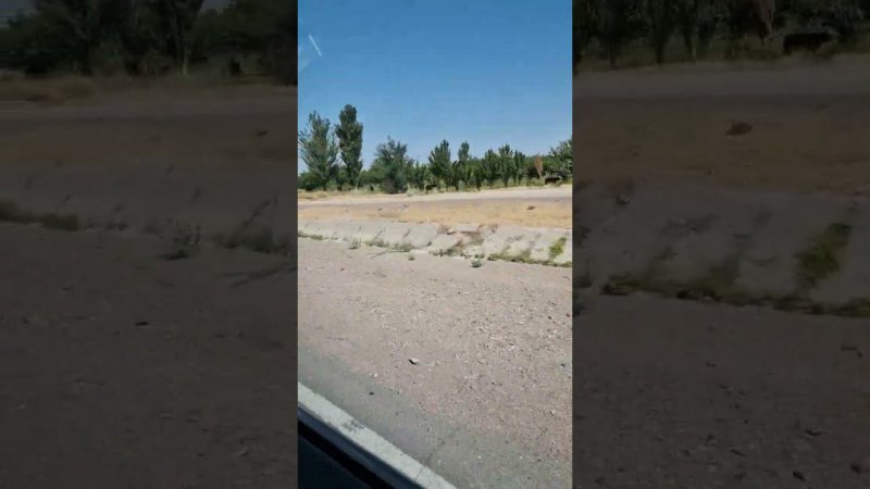 Вдоль дороги в Таджикистане
