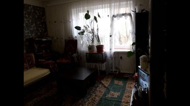 Комната 21 кв.м.
