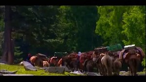 СУАР КНР - уклад жизни степных кочевников
