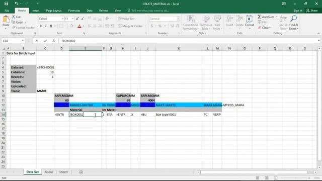 BCC SAP Data Excelerator - Carga datos desde Excel a SAP смотреть онлайн
