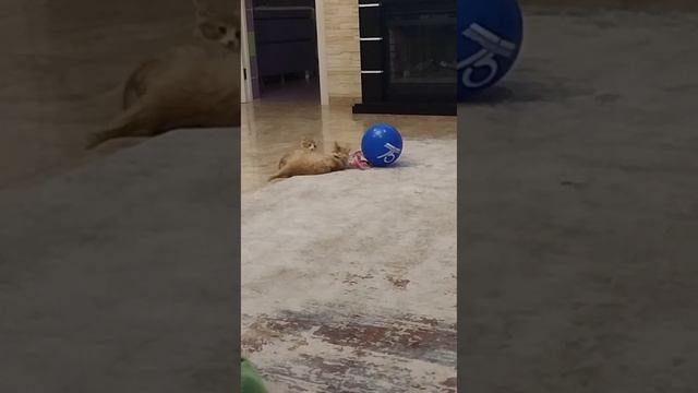 Чем заняться? смотреть онлайн