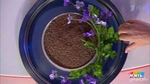 Льняное семя. Продукт-защитник. Жить здорово! Фрагмент выпуска от 05.12.2016