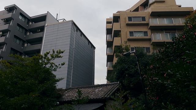 ЧЕМ УДИВЛЯЕТ ЯПОНИЯ ИНОСТРАНЦЕВ? смотреть онлайн