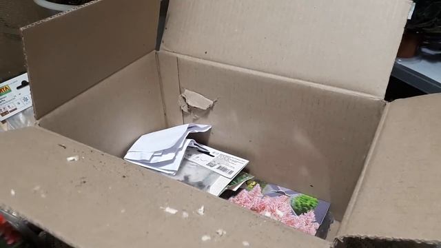 Посылка с ЦВЕТАМИ (многолетники)! Распаковка!