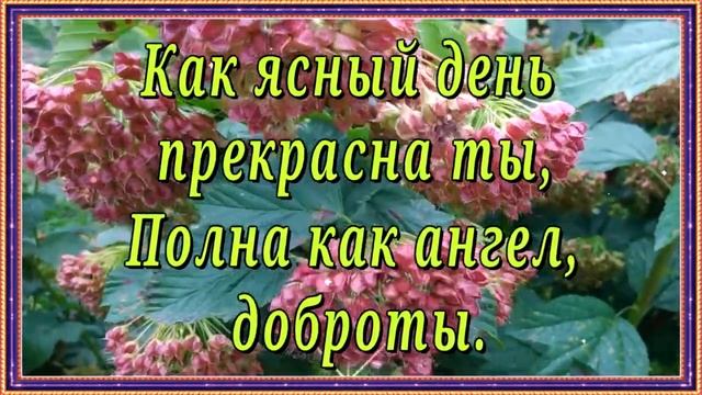 Прекрасной женщине! Красивые слова! смотреть онлайн