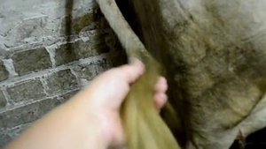 Проблемы после отела. Профилактика пареза. Problems after calving.