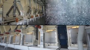 АМАНДУС КАЛЬ и группа компаний КАЛЬ