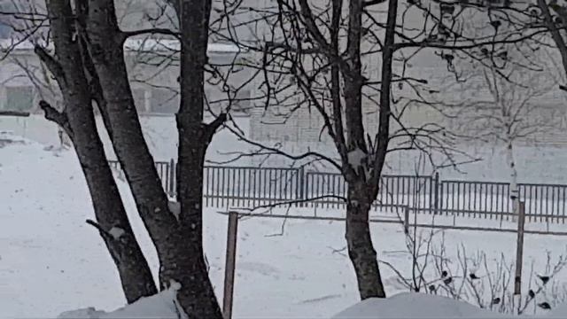 Весна на Дальнем Востоке смотреть онлайн