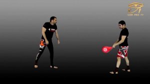 Топ 100 приемов из Таеквондо " Торо-долио-чаги"