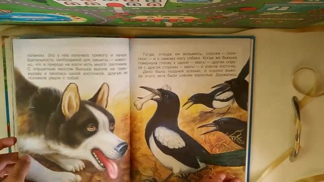 Лесные истории. Изд-во Малыш. Сборник русских сказок смотреть онлайн