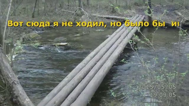 Гатчинские гейзеры.
