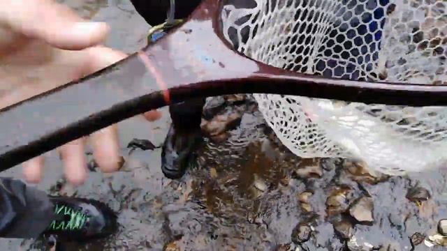 Сима, поиск и оправданые надежды. смотреть онлайн