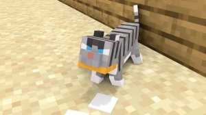 Monster school : Baby Zombie Girl and the poor cat - Minecraft Animation