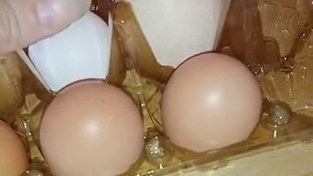 Огромное яйцо . Курочка несушка смотреть онлайн