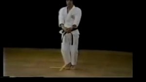 Shotokan Hirokazu Kanazawa