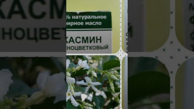 Секрет молодости: эфирное масло жасмина для уменьшения признаков старения!!!