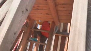 Осень 2020 «Оригами» Саларьево. Лида и Вадим.