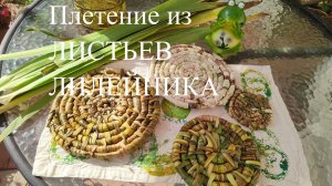 Простое плетение-сможет каждый! Красивая подставка под горячее из листьев лилейника.