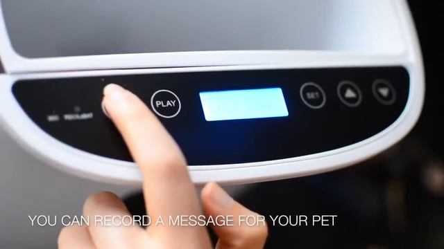 Обзор автоматической кормушки PetWant PF-102