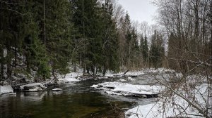 Ловля форели, рыбалка в глухозимье, спиннинг зимой.