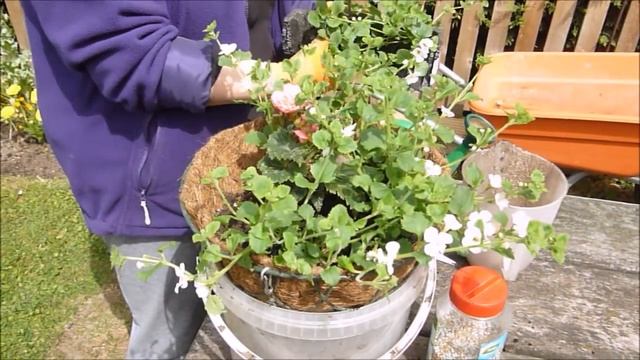 Посадка цветов в подвесные корзины смотреть онлайн