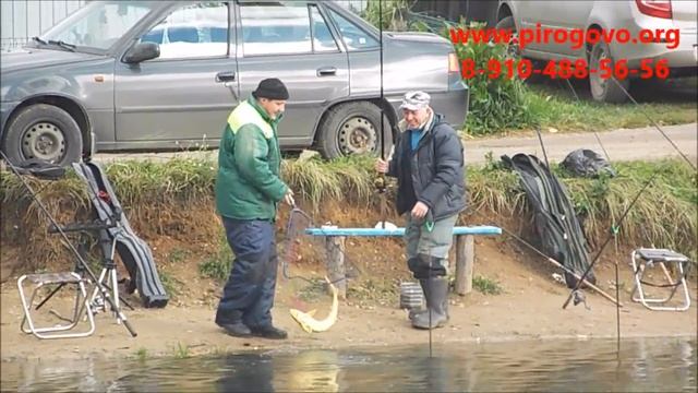 Платная рыбалка в Пирогово-Коргашино смотреть онлайн