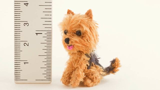 Mini Yorkshire Terrier CrochetHagimi Crochet Amigurumi