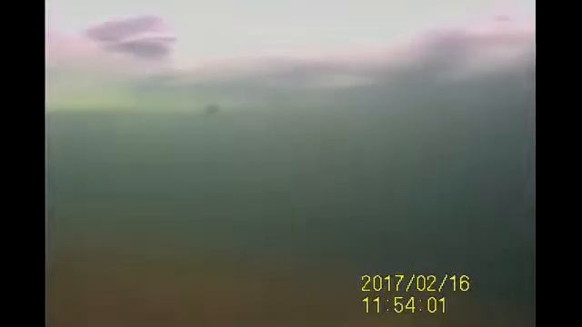 Форель ловим на блесну зимой. Подледные съемки Камера Calypso смотреть онлайн