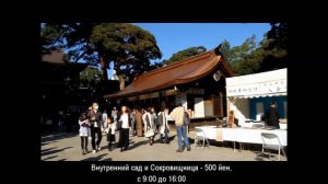 Что можно посмотреть в Токио за 5 дней? Путеводитель по Токио