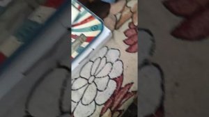 Развесовка поршней и пальцев 405 Газель