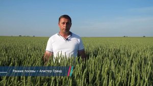 Озимая пшеница: технология возделывания и защиты. Дни Поля - 2020.