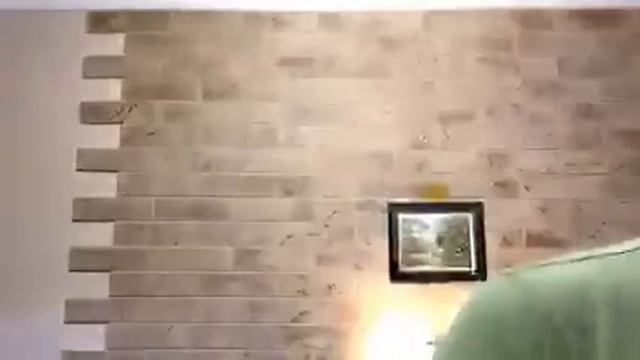 Periscope - Готовим мясные рулетики - 18.12.2015 смотреть онлайн