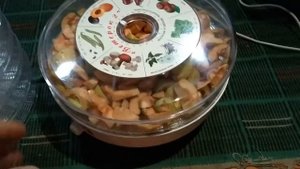 Покупка сушилки для овощей Ветерок 2