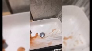 Cats Make Food 2022 ♥ That Little Puff Tiktok Compilation #41