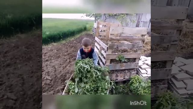 Компостування з Матвієм: що я складаю до компостера? смотреть онлайн