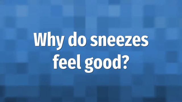 What happens when you sneeze 3 times? смотреть онлайн