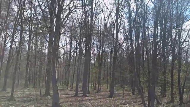 01.05.2021. С праздником! Тренировки в парке! смотреть онлайн