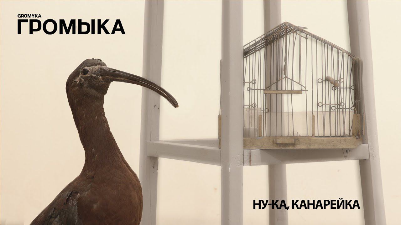 ГРОМЫКА - Ну ка, канарейка