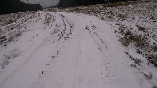 Прогулка по лесу 4.12.2020