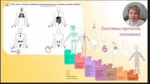 ОГЭ по биологии 2023 Разбор 18 варианта из сборника Рохлова