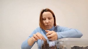 Сажаю НАРОСТЫ замиокулькаса. Укоренение и Размножение. Интересный эксперимент.